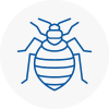 Bed Bug Extermination In Staines