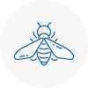 Bee Nest Removal Staines