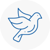 Bird Prevention Staines
