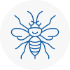 Staines Hornet Nest Removals