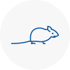 Mice Exterminators In Staines