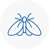 Moth Control Specialists In Staines
