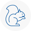 Staines Rodent Removals